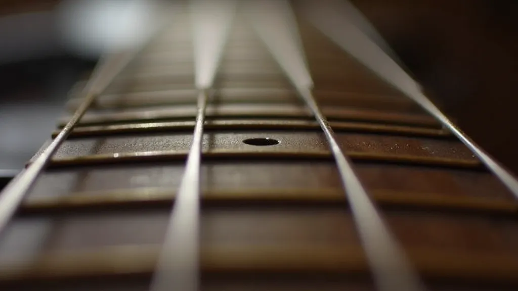 Guitar fretboard detail